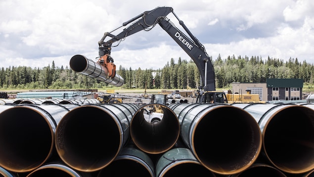 Des tuyaux servant à la construction du pipeline Trans Mountain à Edson, en Alberta, le 18 juin 2019.