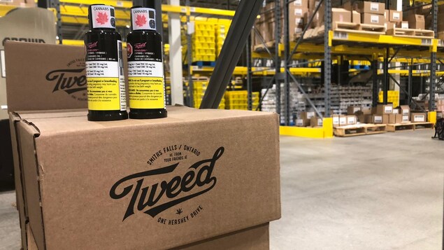 Deux vaporisateurs oraux déposées sur des boîtes de cartons portant le logo de Tweed. Deux vaporisateurs oraux déposées sur des boîtes de cartons portant le logo de Tweed.