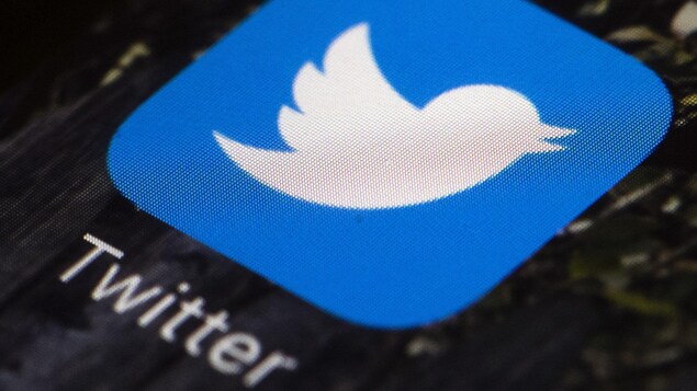 L'oiseau blanc sur fond bleu, l'icône de Twitter