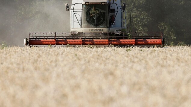 Ukraine grain blockade: EU accuses Moscow of ‘war crimes’ |  The war in Ukraine