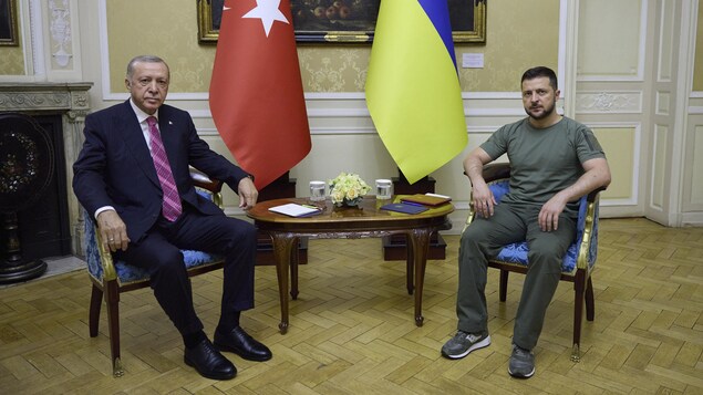 Le président Turc Erdogan et le président ukrainien Zelensky assis.
