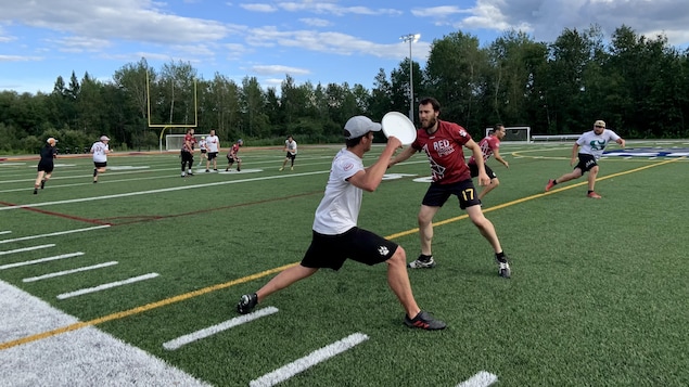 Ultimate frisbee : jouer et gagner est une histoire de famille pour les Red Fox