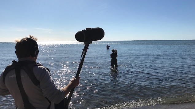 Marc Hervieux chante les deux pieds dans la mer. Marc Hervieux chante les deux pieds dans la mer.