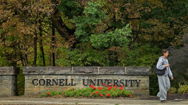Viol collectif allégué : que s’est-il passé à l’Université Cornell?
