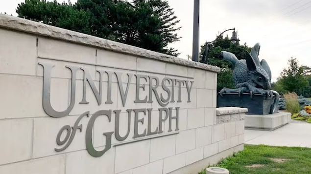 3 édifices de l’Université de Guelph évacués en raison d’un « risque à la sécurité »