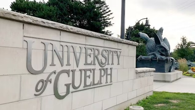 3 édifices de l’Université de Guelph évacués en raison d’un « risque à la sécurité »