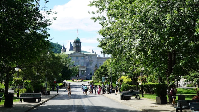 Vue sur le campus de l'Université McGill en plein été au centre-ville de Montréal.