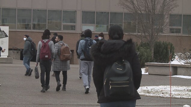 Des étudiants marchent vers l'entrée d'un édifice du campus.