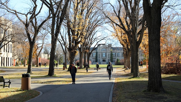 Le campus de l'Université de la Saskatchewan, à Saskatoon.
