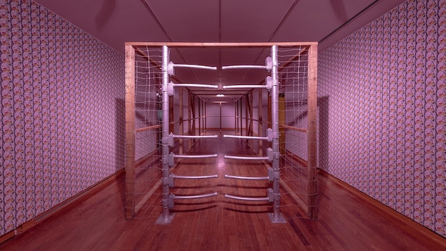 Photo de l'installation qui ressemble à une grande cage en filet. Photo de l'installation qui ressemble à une grande cage en filet.