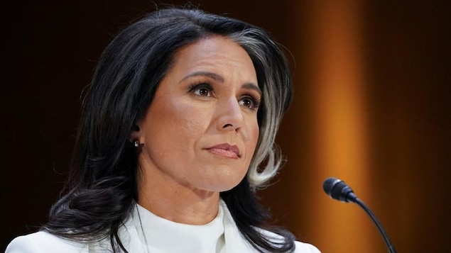Tulsi Gabbard.