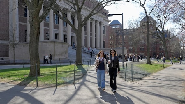 Mga estudyante naglalakad sa campus ng Harvard University.