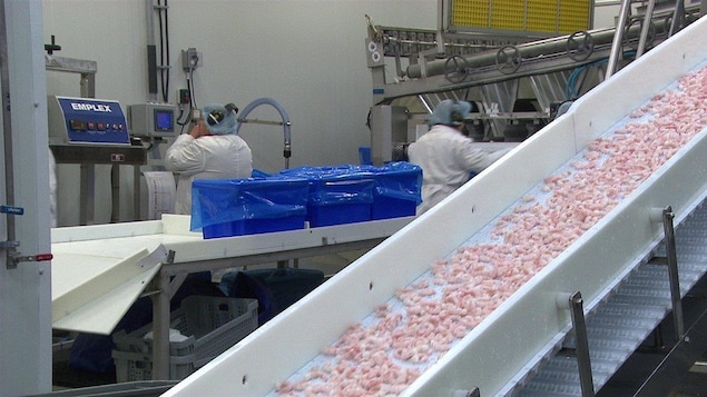 Usine des Fruits de mer de l'Est du Québec Usine des Fruits de mer de l'Est du Québec