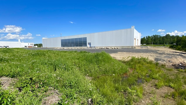 Un milieu humide détruit en catimini dans un parc industriel de Trois-Rivières