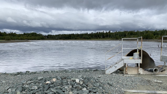 Un bassin d'épuration d'eau.