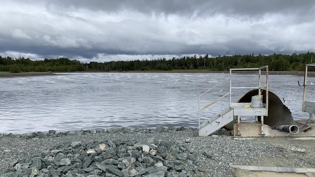 Des eaux usées parfois déversées dans l’environnement plutôt que traitées