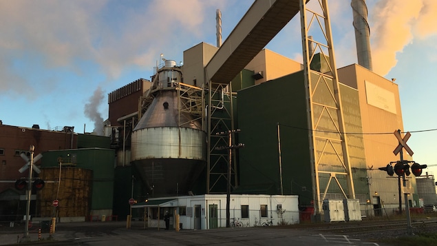 Pâte de cellulose à l’usine Fortress : « ce projet-là, il n’est plus sur la table »