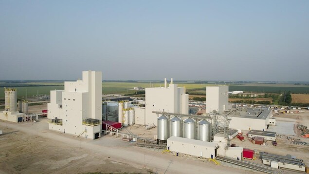 Roquette ouvre la plus grande usine de transformation de pois au monde au Manitoba