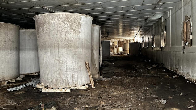 Des milliers de litres de sauce pourrie empestent un village à Terre-Neuve