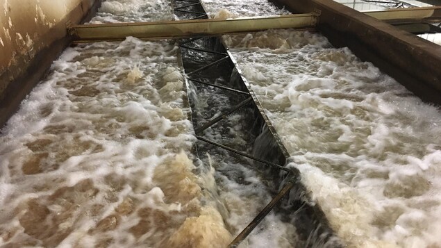 Des travaux de réfection prévus à l’usine de traitement des eaux usées de Chicoutimi