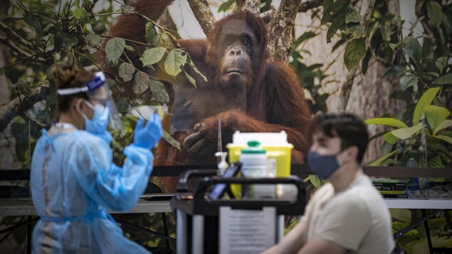 COVID-19 : 35 décès et un nouveau sommet d’hospitalisations en Ontario