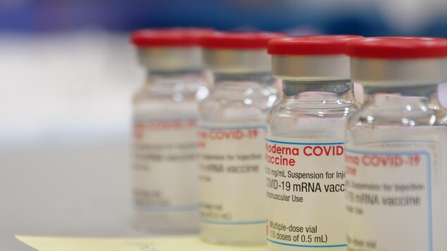 Une fiole du vaccin de Moderna.