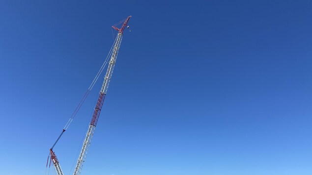 Une imposante grue