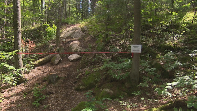 Un ruban rouge devant un sentier de vélo de montagne dans la forêt.
