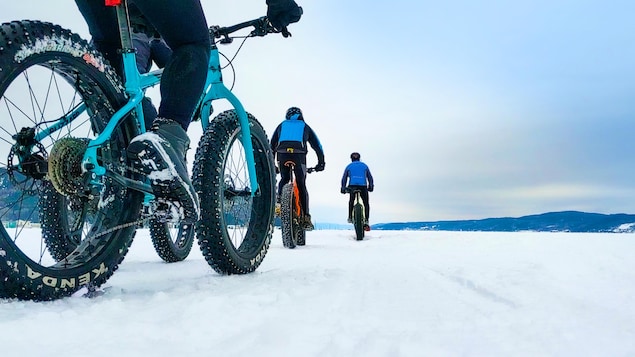 Des cyclistes en vélo d'hiver sur les glaces de la baie des Ha! Ha!, de dos.