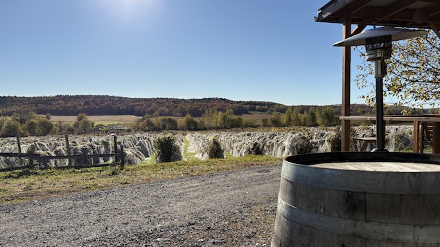 Vignoble le Clos Sainte-Thècle.
