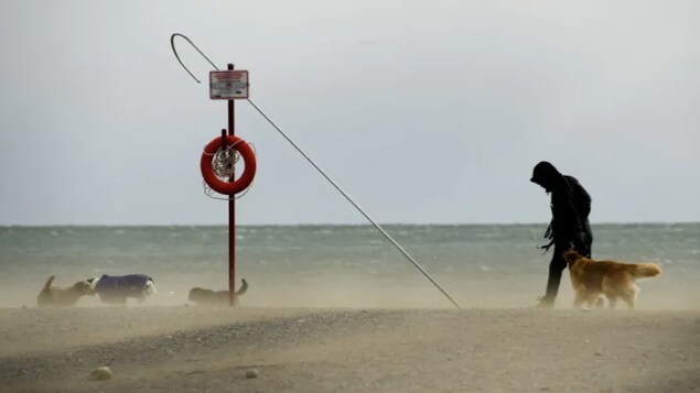 Des vents forts sur tout le sud de l’Ontario et conditions hivernales dans le Nord-Est