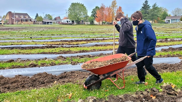 Deux adolescents marchent sur un terrain vague. L'un d'eux pousse une brouette.