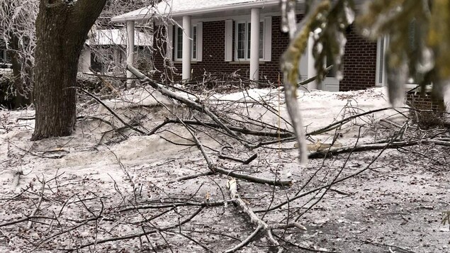 Des branches gelées jonchent le sol d'une maison enneigée.