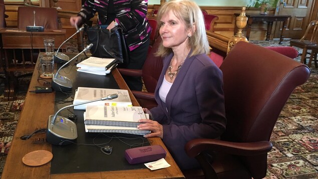 La vérificatrice générale du Nouveau-Brunswick La vérificatrice générale du Nouveau-Brunswick