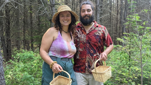 Vers Forêt en pleine transformation