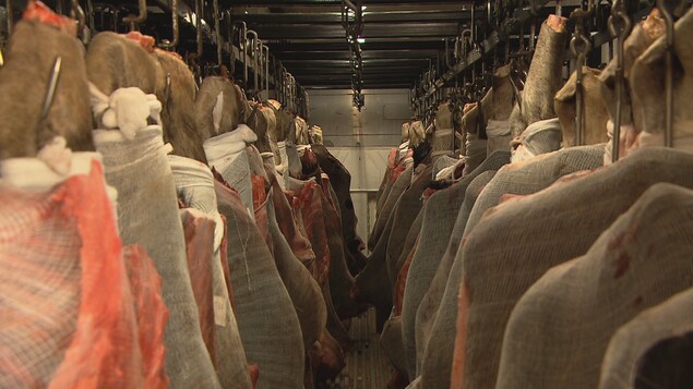 Des bouchers débordés en plein cœur de la saison de la chasse