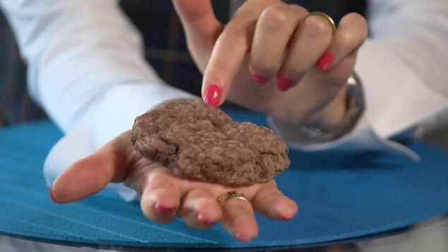 On voit une boulette de viande hachée qui a la taille de la paume de la main.