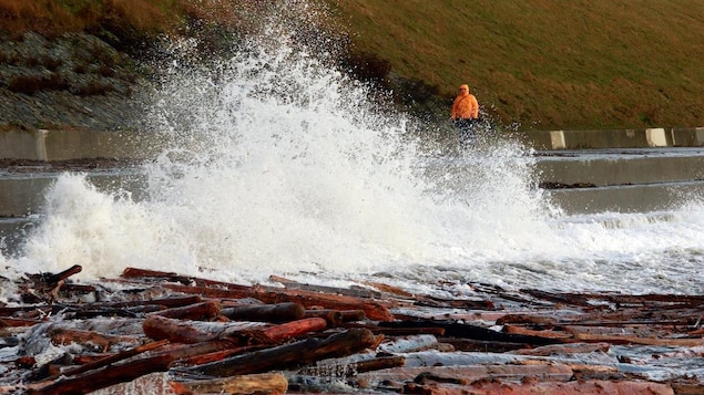 Another storm approaches Vancouver Island as B.C. Hydro crews race to restore power to thousands