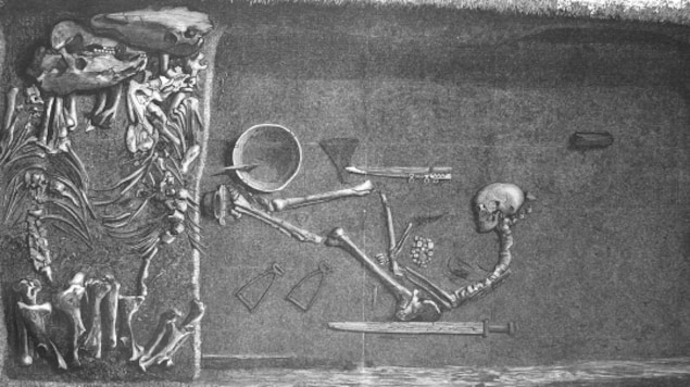 Les restes furent découverts dans les années 1880 en Suède. Les restes furent découverts dans les années 1880 en Suède.