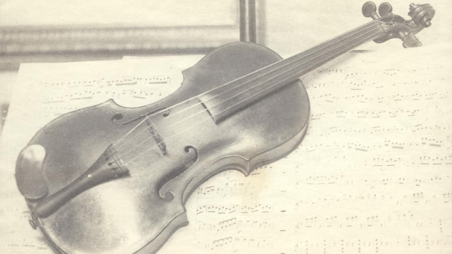 A violin placed on terraces