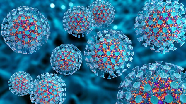 Les virus de la grippe mutent sans arrêt pour échapper à nos défenses immunitaires.