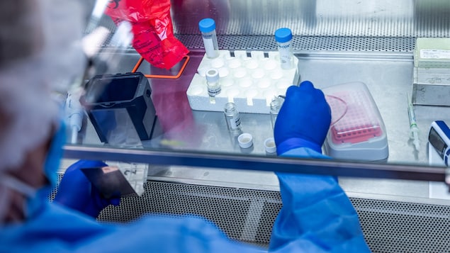 Un scientifique travaillant en laboratoire.
