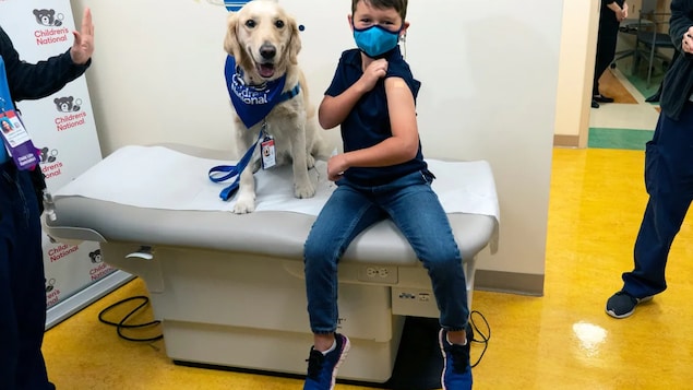 An eight-year-old, joined by a therapy dog, shows off the bandage over his injection site after being vaccinated in Washington, D.C., on Nov. 3. 
