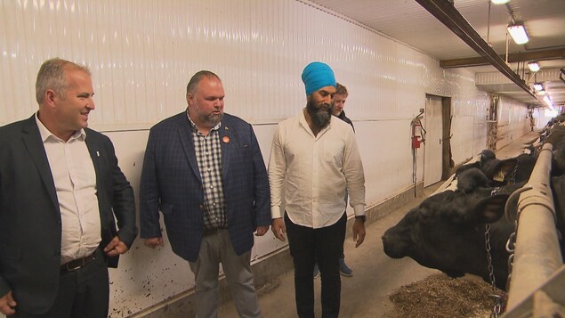 Trois personnes qui discutent ensemble regardent une vache Trois personnes qui discutent ensemble regardent une vache