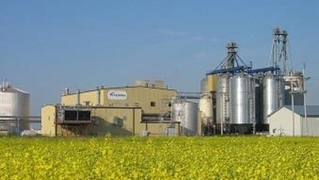 Une usine dans un champ de canola.