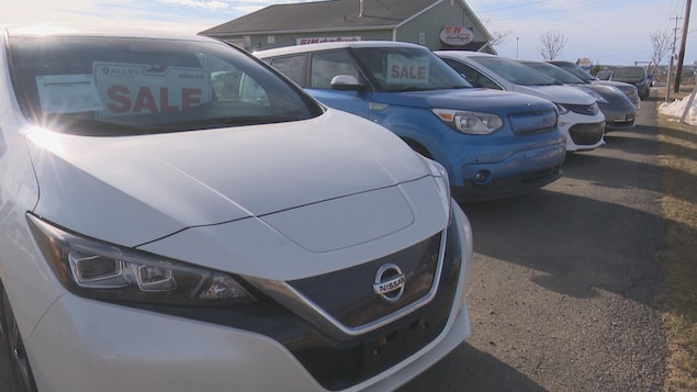 Plusieurs véhicules électriques à vendre sont alignés dans un stationnement.