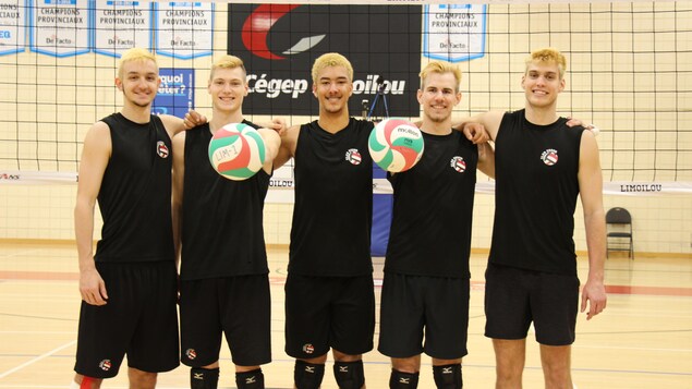 Championnat canadien de volleyball : les Titans en quête d’un sacre historique à la maison