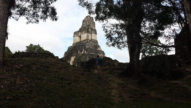 Ruinas mayas de Tikal, en Guatemala.