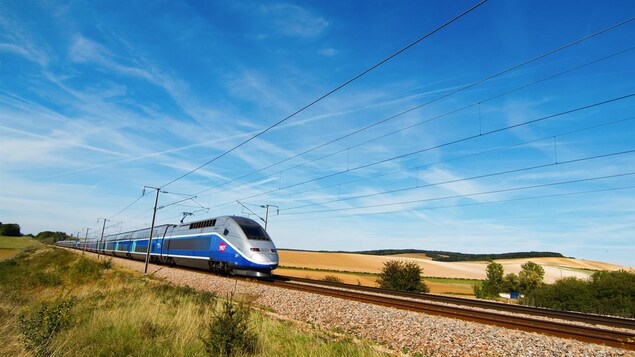 Un train défile sous un ciel bleu Un train défile sous un ciel bleu