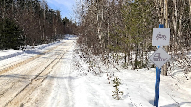 Mort de deux motoneigistes dans des accidents au Nouveau-Brunswick
